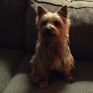 Meet your Posher, Ginny